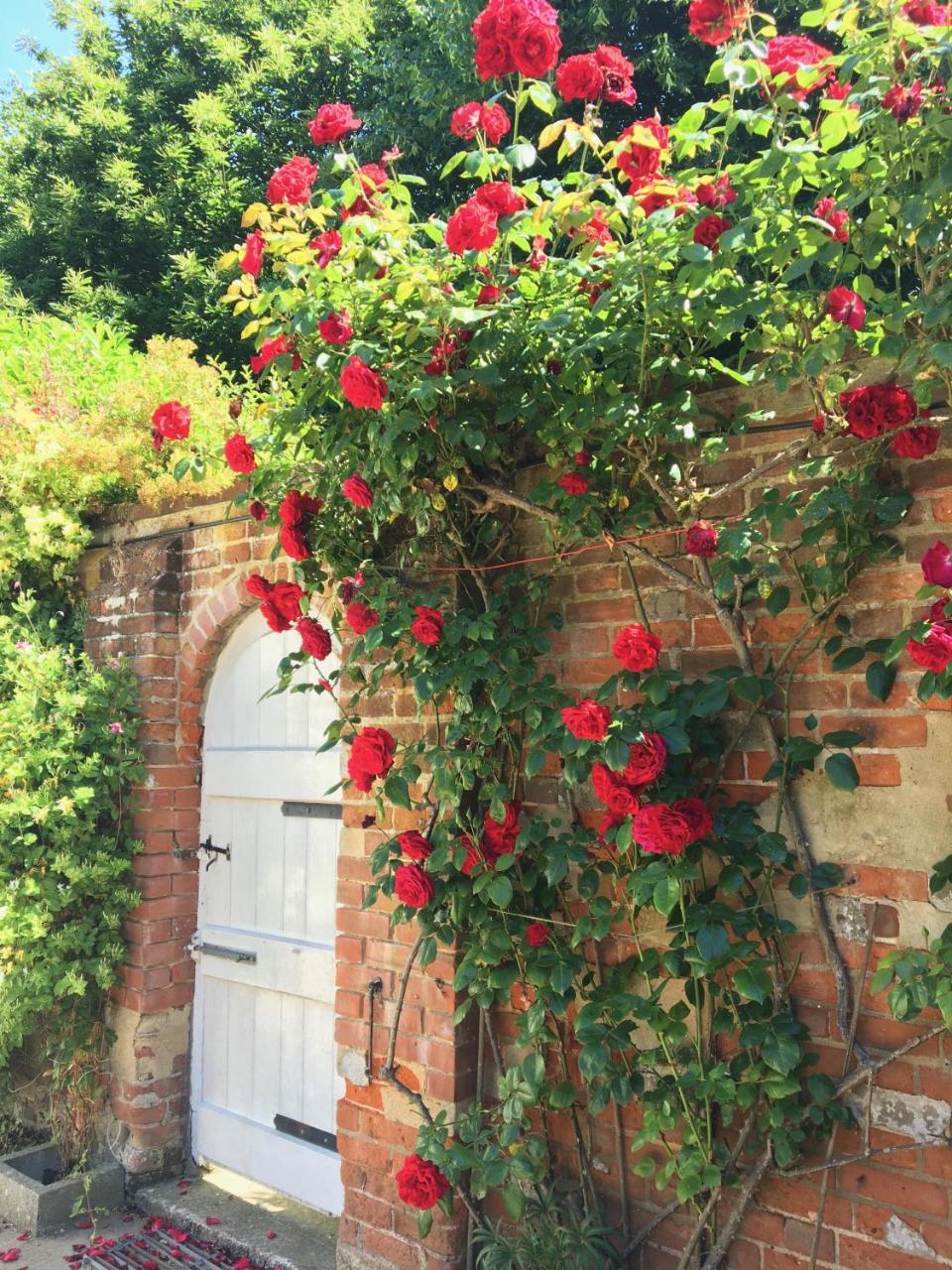 The Old Rectory B&B Kessingland Bagian luar foto